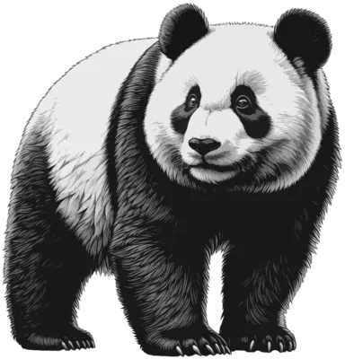 Le panda réaliste en noir et blanc de La Boutique du Panda